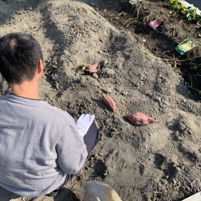 えこる