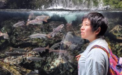 日帰り旅行　とうかえで