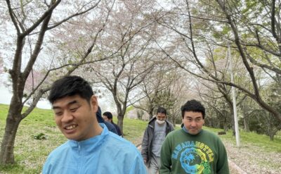 お花見活動(*^-^*)